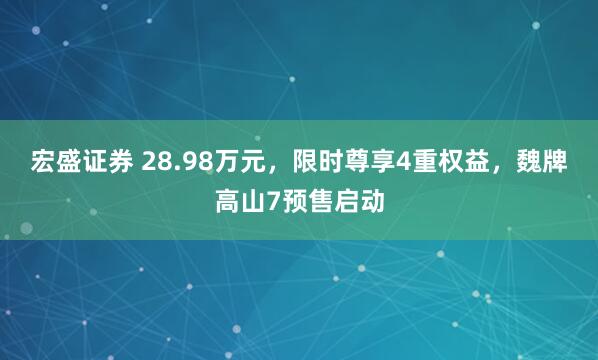 宏盛证券 28.98万元，限时尊享4重权益，魏牌高山7预售启动