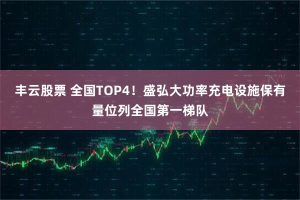 丰云股票 全国TOP4！盛弘大功率充电设施保有量位列全国第一梯队